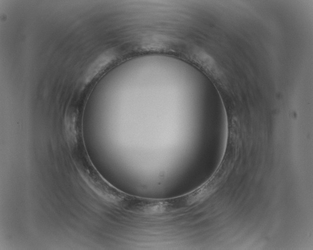 X0000066100116200603101151