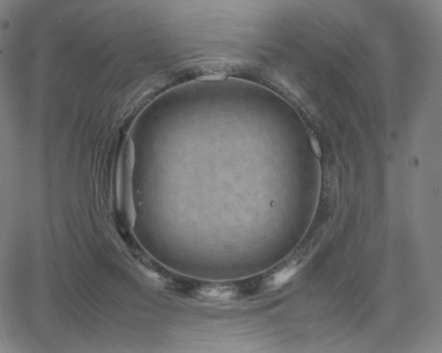 X0000066100117200603101151