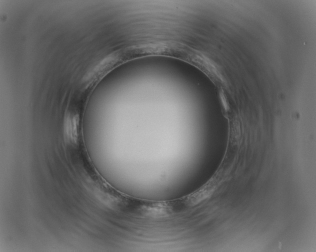 X0000066100118200603101151