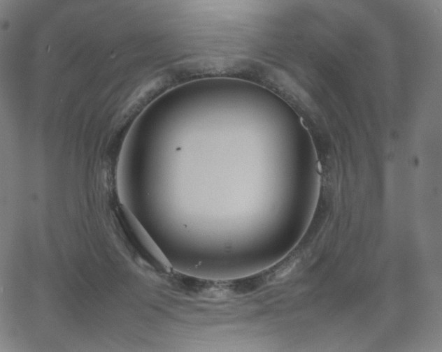 X0000066100119200603101151