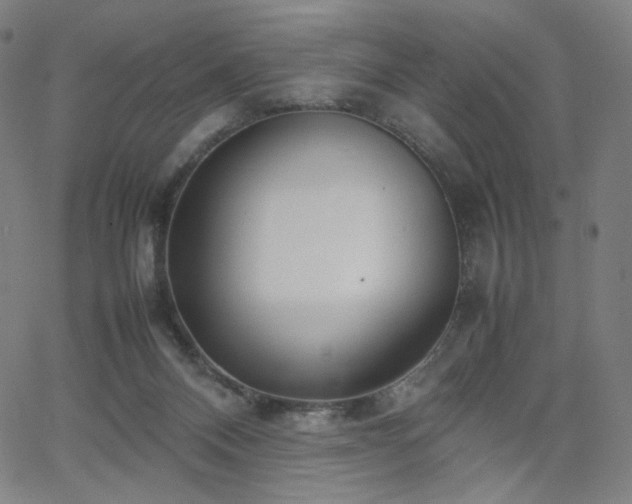 X0000066100120200603101151