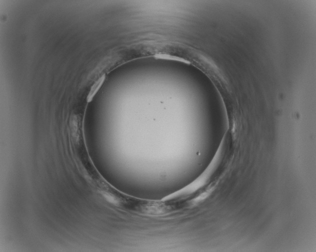 X0000066100121200603101151