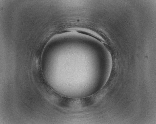 X0000066100123200603101151