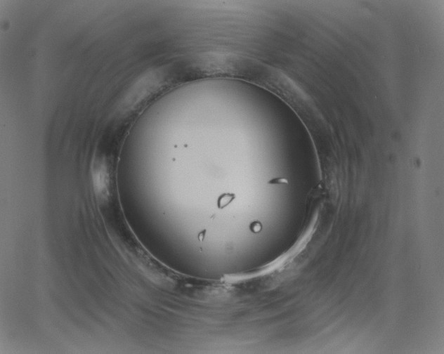 X0000066100124200603101151