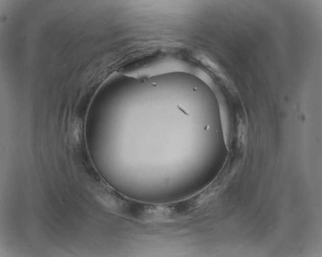 X0000066100125200603101151