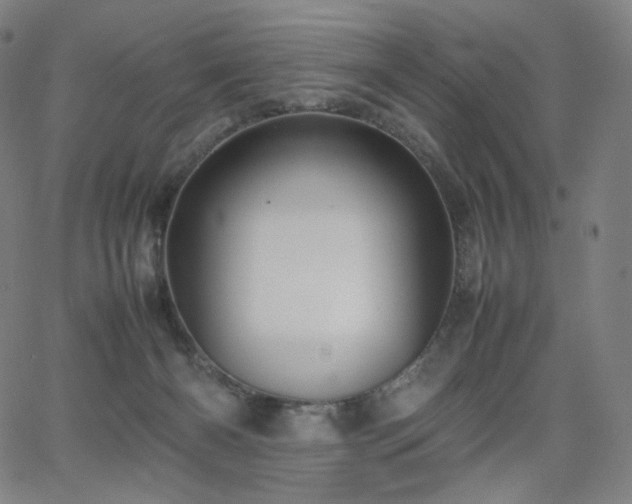 X0000066100126200603101151