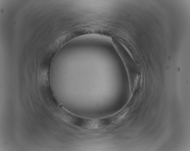 X0000066100127200603101151