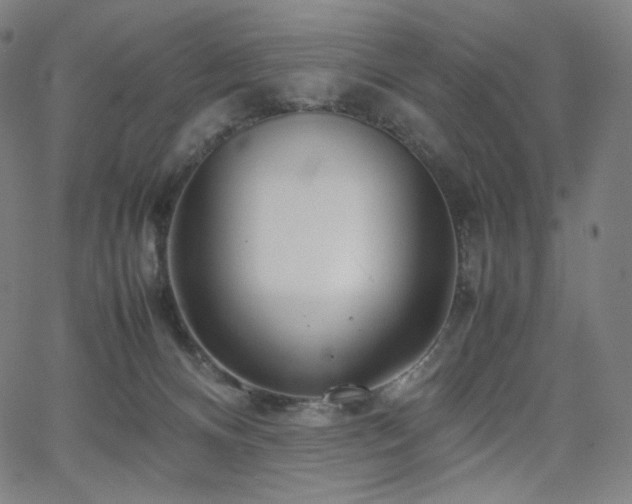 X0000066100128200603101151