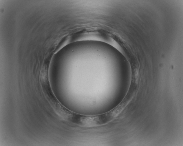 X0000066100129200603101151