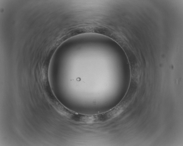 X0000066100131200603101151