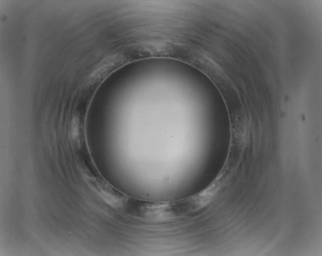 X0000066100132200603101151