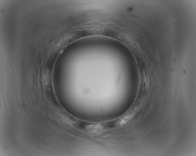 X0000066100133200603101150