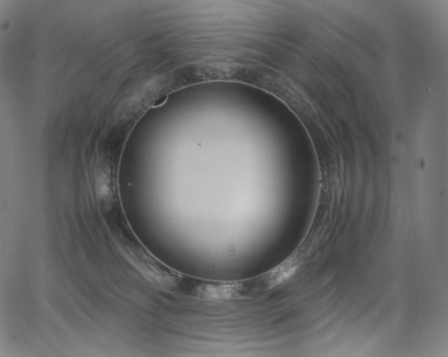 X0000066100134200603101150