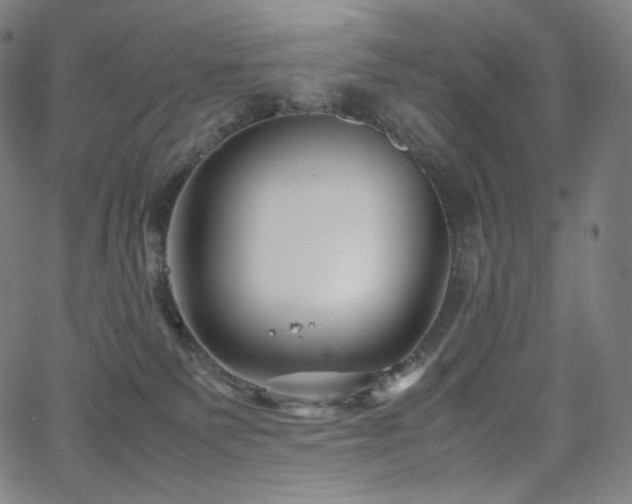 X0000066100135200603101150