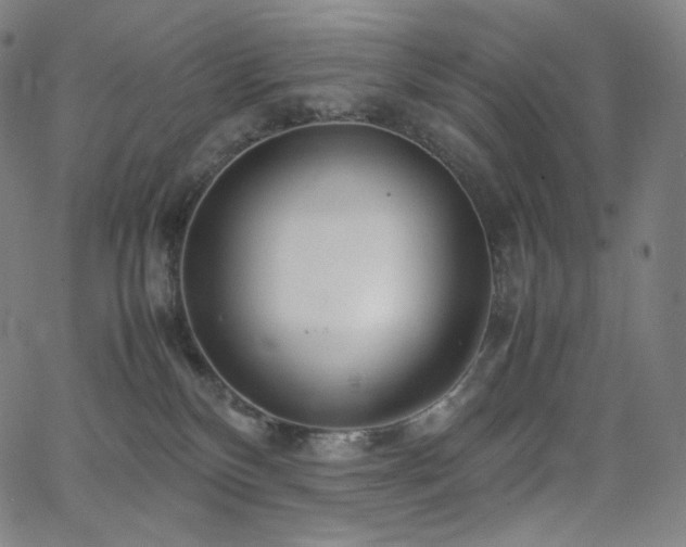 X0000066100136200603101150