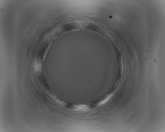 X0000066100137200603101150