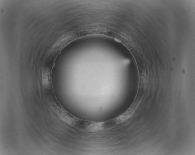 X0000066100138200603101150