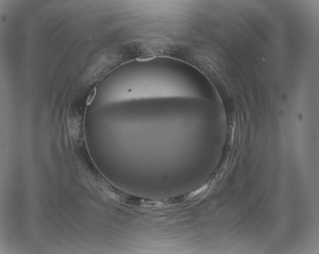 X0000066100139200603101150