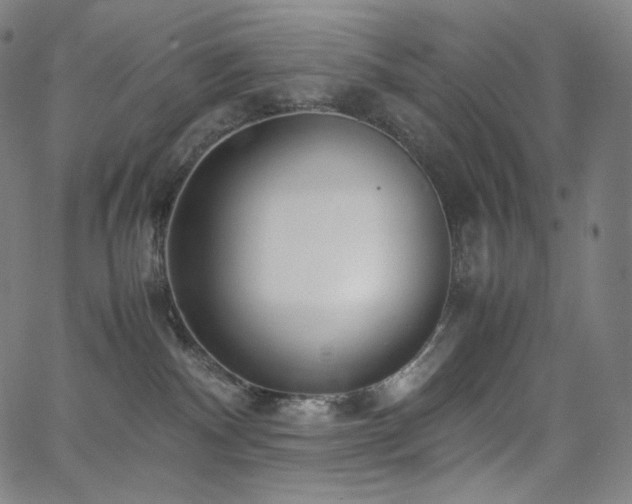 X0000066100140200603101150