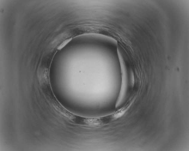 X0000066100141200603101150