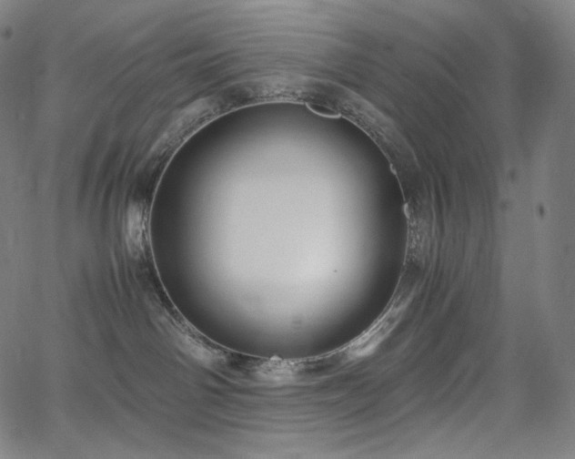 X0000066100142200603101150