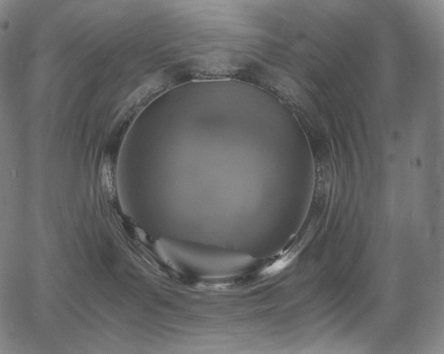 X0000066100143200603101150