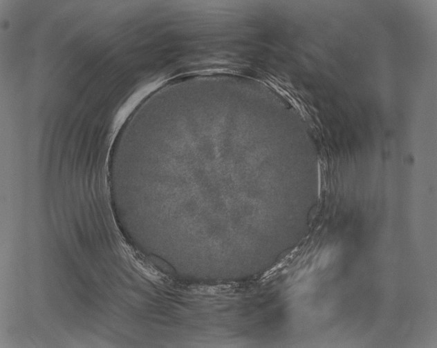 X0000066100147200603101150