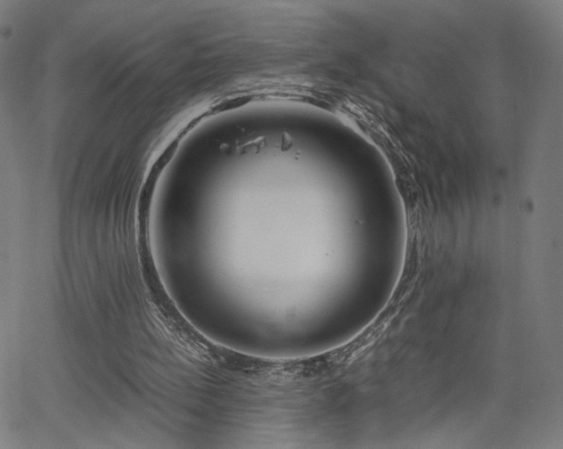 X0000066100148200603101150