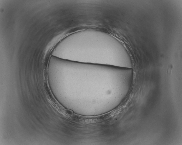 X0000066100149200603101150