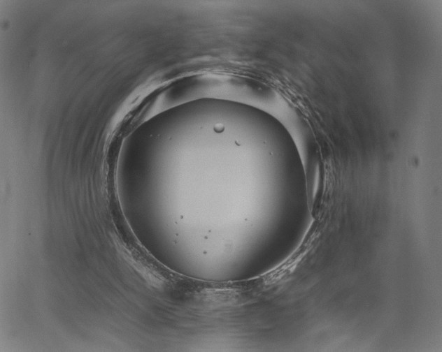 X0000066100150200603101150