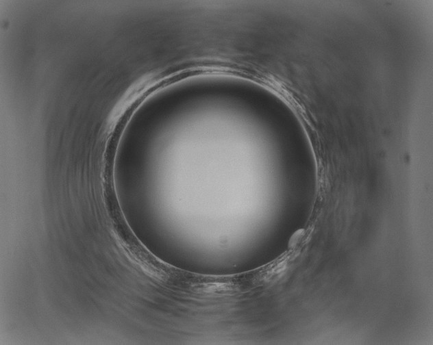 X0000066100151200603101150