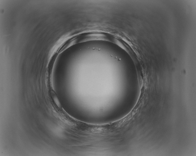 X0000066100152200603101150