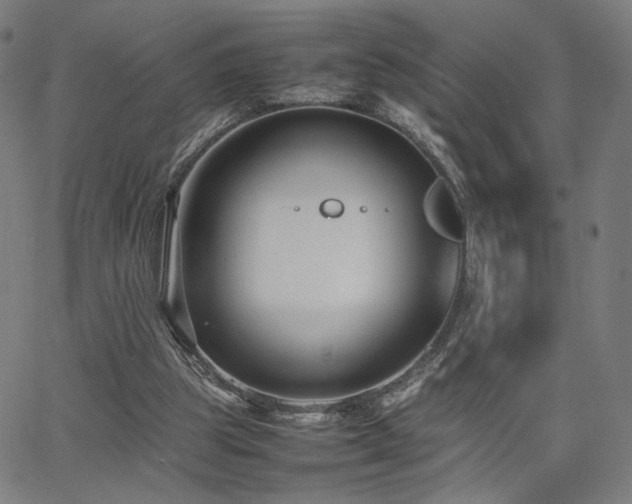 X0000066100153200603101150