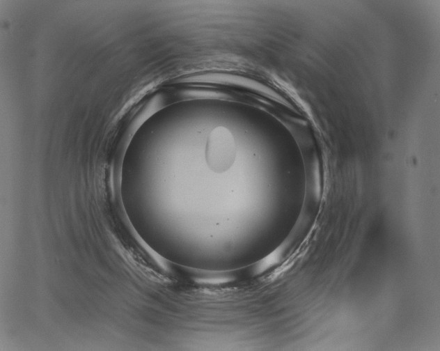 X0000066100154200603101150