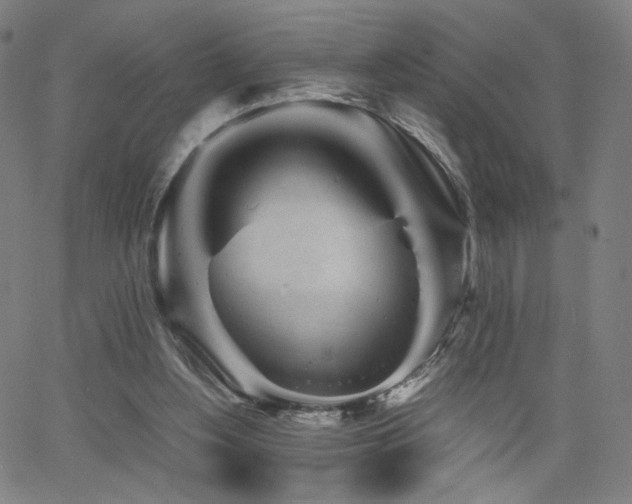 X0000066100156200603101150