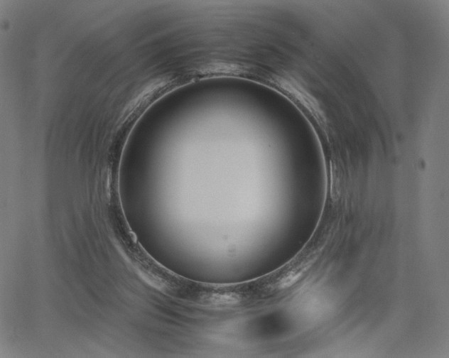 X0000066100157200603101150