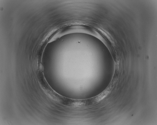 X0000066100158200603101150