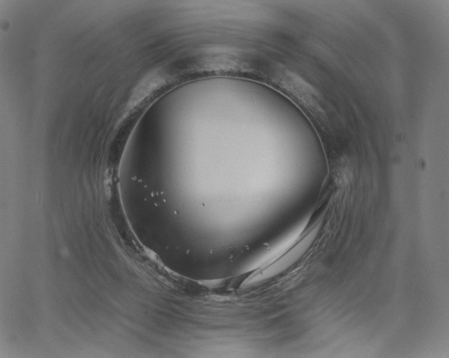 X0000066100160200603101150