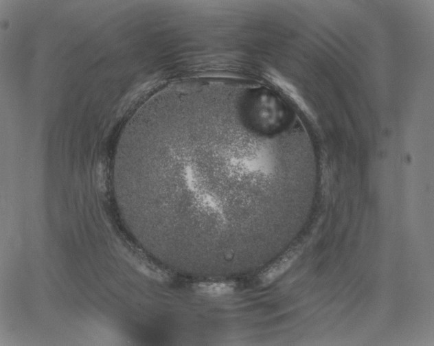 X0000066100161200603101150