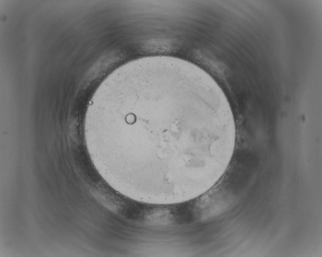 X0000066100162200603101150