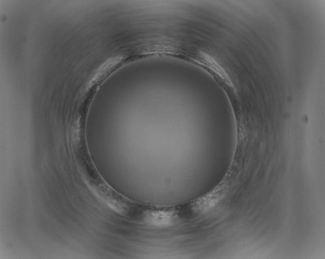 X0000066100163200603101150