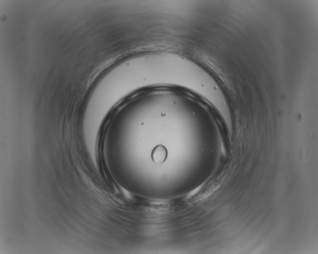 X0000066100164200603101150