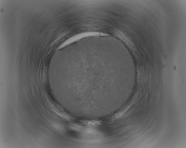 X0000066100165200603101150