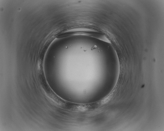 X0000066100166200603101150