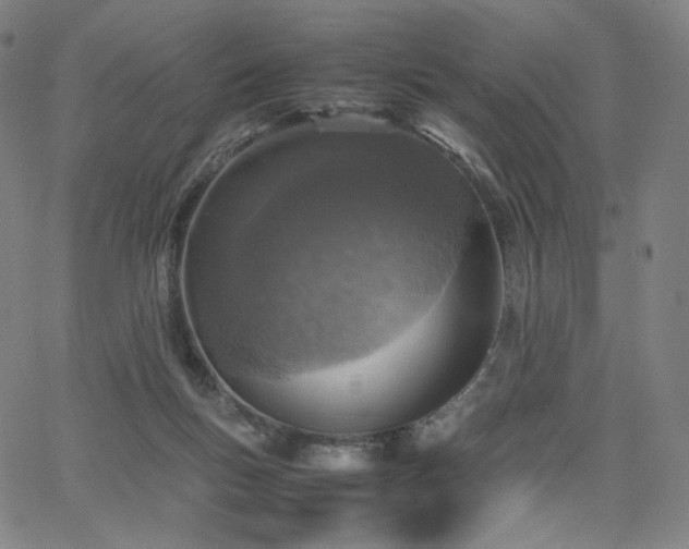 X0000066100167200603101150