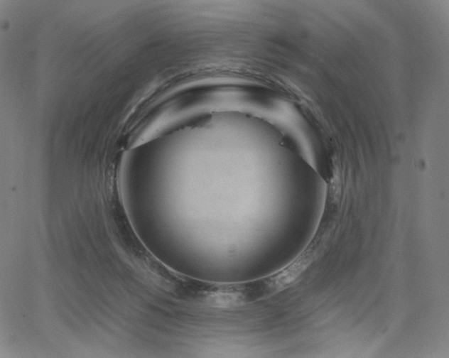 X0000066100168200603101150