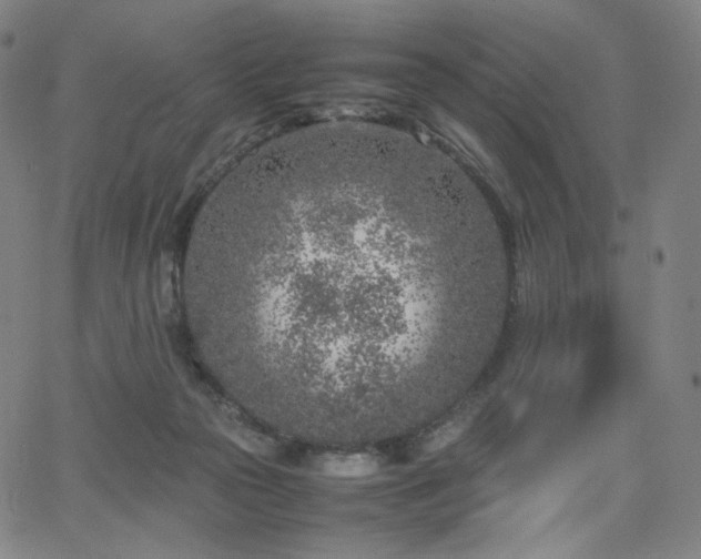 X0000066100169200603101150