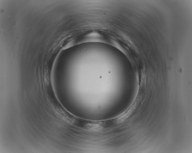 X0000066100170200603101150