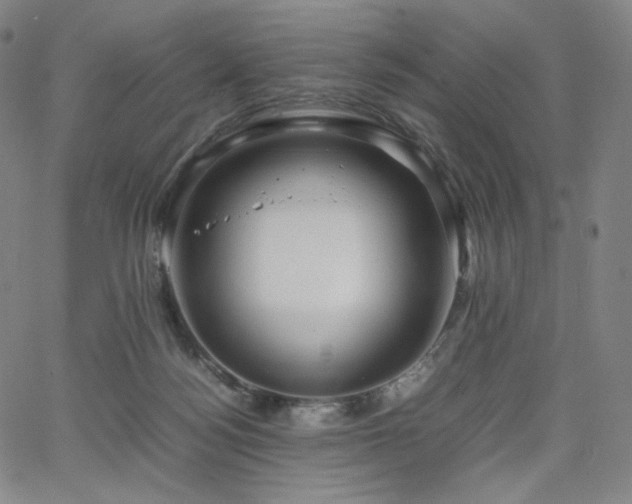 X0000066100172200603101150