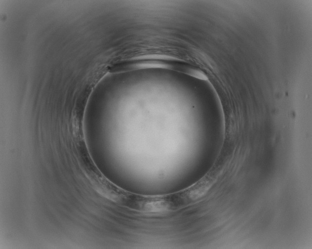 X0000066100173200603101150